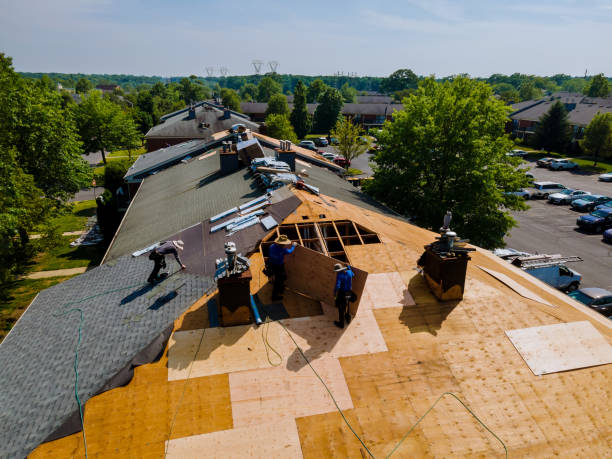 Best Storm Damage Roof Repair  in Statham, GA