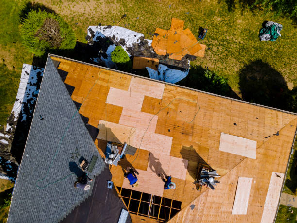 Best Storm Damage Roof Repair  in Statham, GA