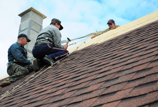 Best Gutter Installation and Roofing  in Statham, GA